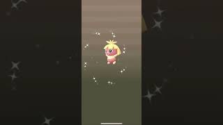 ポケモンGO 卵からムチュール色違い