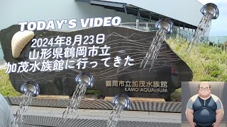 2024年8月23日 山形県鶴岡市立加茂水族館に行ってきた