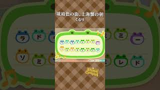 【あつ森】琥珀色の街、上海蟹の朝の島メロ #shorts #animalcrossing