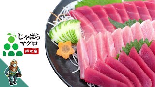 じゃばらマグロのご紹介　～　マグロお刺身、マグロユッケ丼、ネギトロ手巻き