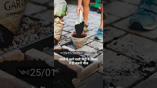 गमले में भरने वाली मिट्टी में मिलाएं ये दो जरूरी चीज।#shorts #youtubeshorts #shortvideo #short