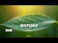 Nature - Acoustic Guitar  Instrumental 2024 | Emotional Type Beat