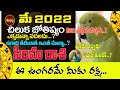 SIMHA RASI MAY 2022 | CHILUKA JOSYAM MAY 2022 | SIMHA RASI | PARRAOT ASTROLOGY | LEO | SHUBHAM TV