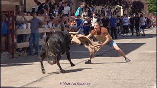 Figueruelas (Zaragoza) - Suelta de reses - 18/05/2024 - Tarde - HD