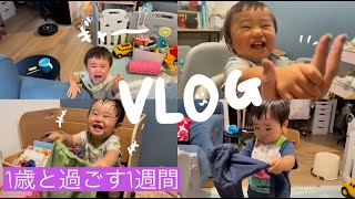 【VLOG】１歳と過ごす1週間。保育園準備。ズボン履く練習。積み木に少し興味。惰性で手拍子。ルンバで大パニック。初モス。