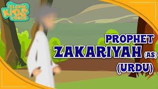 Prophet Stories In Urdu | Prophet Zakariya (AS) Story | Quran Stories In Urdu | Urdu Cartoons