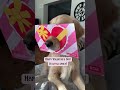 Cute Dog Video - Happy Valentines Day! ❤️ 🥰 #shorts #dog #cute