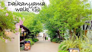 4K Daikanyama Weekday Gallery, Shops, etc. Walk 2022 Tokyo