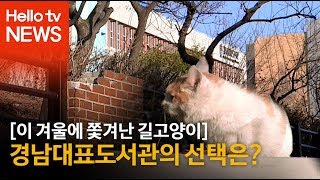 이 겨울에 쫓겨난 길고양이 경남대표도서관의 선택은?