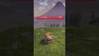 [ポケモン]名前はシン・ビッパです