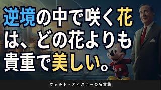 【名言集】夢を叶える秘訣：ウォルト・ディズニーの不朽の名言 BGM付