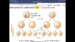 예비고3 생1 방학특강 10주차(사람의 유전병)