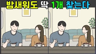 [다른그림찾기] 밤새워도 딱 1개 찾는다