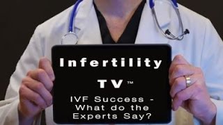 IVF Success - What do the Experts Say?