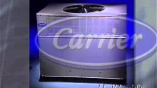 Carrier Rain Forest (Ideal Humidity)