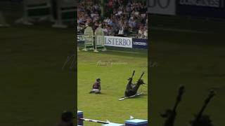 The last time ❤️🩹 #horsefail #fail #horseedits #equestrian #equestrian #showjumping #horsejumping