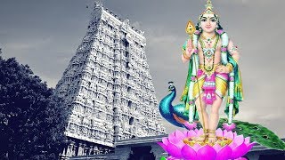 Murugan Devotional Tamil Songs - தைப்பூசம் சிறப்பு பக்தி பாடல்கள்