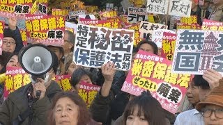 「強行採決は許さない」特定秘密保護法案に反対デモ