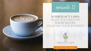 Surrogacy Law in the USA | What You Need to Know Before Starting Your Journey