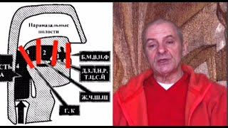 Теорема ГЛ-5. Гласные НЕ ИМЕЮТ и НЕ МОГУТ ИМЕТЬ четкой ПОЗИЦИИ. Богаченко СН 24.05. 2021