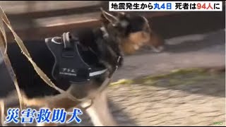 倒壊した家屋を「災害救助犬」が捜索【石川・能登半島地震】 #石川 #能登半島地震 #地震