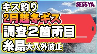 【キス釣り】2月越冬ギス調査、糸島大入漁港外波止