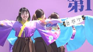 かわさき楽大師よさこい20190420 連番 102