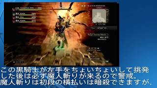 【DDON】黒騎士シーカー立ち回り解説動画