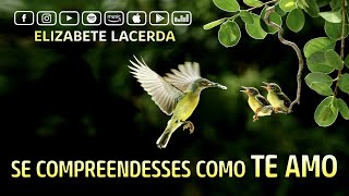 Elizabete Lacerda 🎵 SE COMPREENDESSES COMO TE AMO (Hermana Glenda)