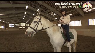 うまのわ　【#06　馬に乗ってみよう！in 馬っこパーク・いわて】（2020/5/9放送）