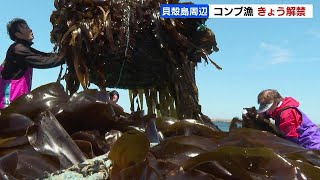 北方領土の貝殻島周辺のコンブ漁が解禁、204隻が出漁　去年はウクライナ侵攻で妥結に大幅遅れ