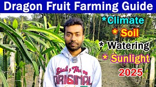 Dragon Fruit Farming Full Guide 2025 || Dragon Fruit Plant Requirement Temperature Soil Watering ||