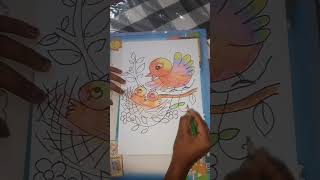 How to Draw Bird Nest step by step / පාට පැන්සලින් කුරුලු කුඩුවක් ඉක්මනින් අදිමු / Birds Drawing