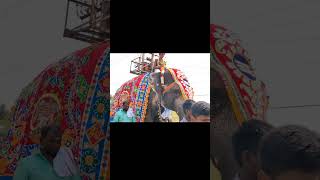 Thirumarugal 🕉️👏#shorts#temple#viralvideo#elephant#god#agriculture