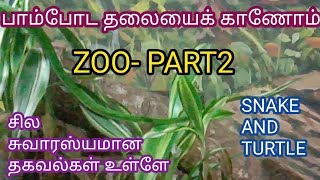 பாம்பு \u0026 ஆமை பற்றிய சுவாரஸ்யமான தகவல்கள் |snake\u0026 Turtle secrets | in Tamil