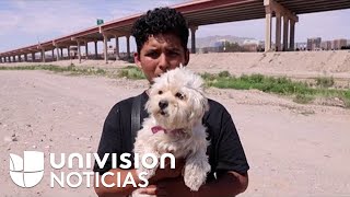 Viajaron juntos desde Venezuela: migrante se despide de su perrita para pedir asilo en EEUU