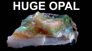 You Will Rarely See This KInd Of Fire Opal Rough