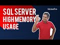 SQL Server High Memory Usage