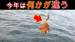 『釣果を伸ばす秘訣はコレ！』明石沖タコ釣り