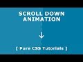 Css Scroll Down Animation - Pure CSS3 Tutorials - Custom Scroll Down Indicator