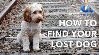 Ask Kurt: How to Find Your Lost Pet | CyberGuy