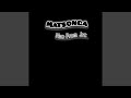 Matsonga Instruments