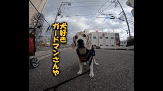 ガードマンさんは犬好き