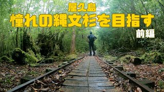 縄文杉トレッキング王道プラン🔰往復約8時間なんてあっという間【前編】繩文杉登山是日本人的憧憬！🥾就算不爬山也一定要去🌳(第1部分)中文字幕