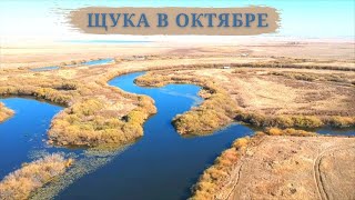 Рыбалка на щуку в октябре. Река Ишим и Колутон.