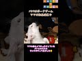 【白猫バームと黒猫ランクの日常】我が家のよくある日常風景