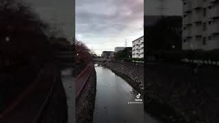 牧駅付近を歩く　平和市民公園　大分市　大分県