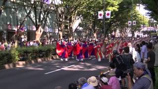 ８月２６日（日）　ほにや＠原宿スーパーよさこい（表参道）