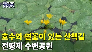 광주 서구 매월동 전평제 (투데이 영상 2021.6.10 광주MBC)