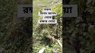 সকল বিপদ আপদ থেকে মুক্তির দোয়া #islamicshorts #shortvideo #dua #viral